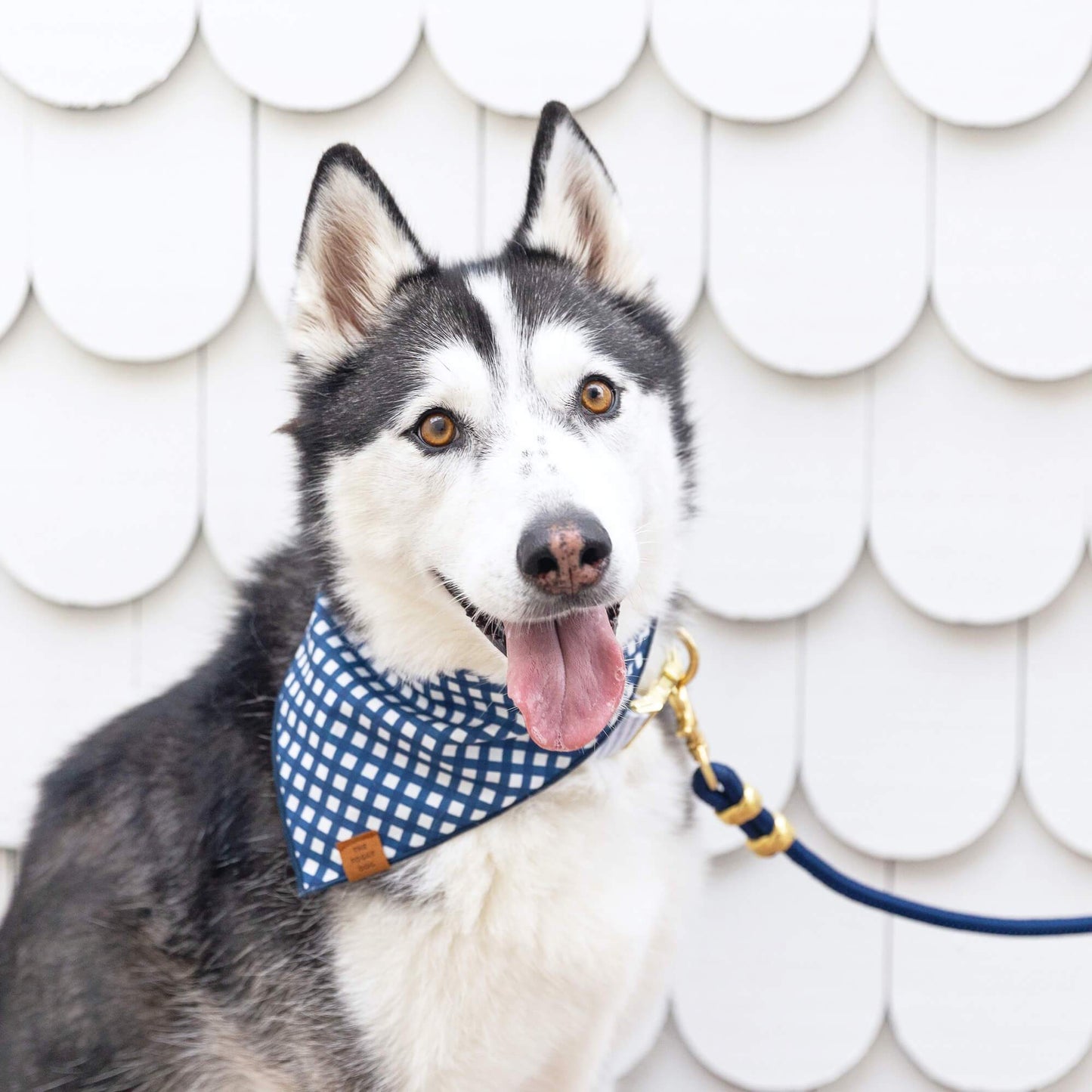 Ocean Marine Rope Dog Leash 5 Feet