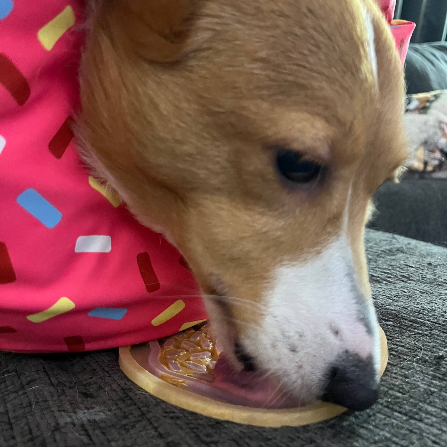 Donut Lick Mat - Assorted Colors