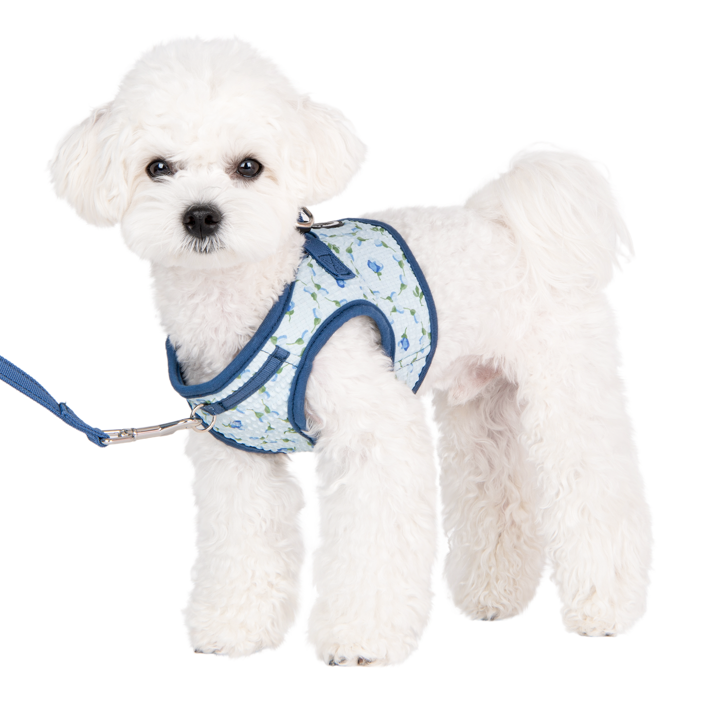 Arnés para perros Florian Vest Step-In Floral