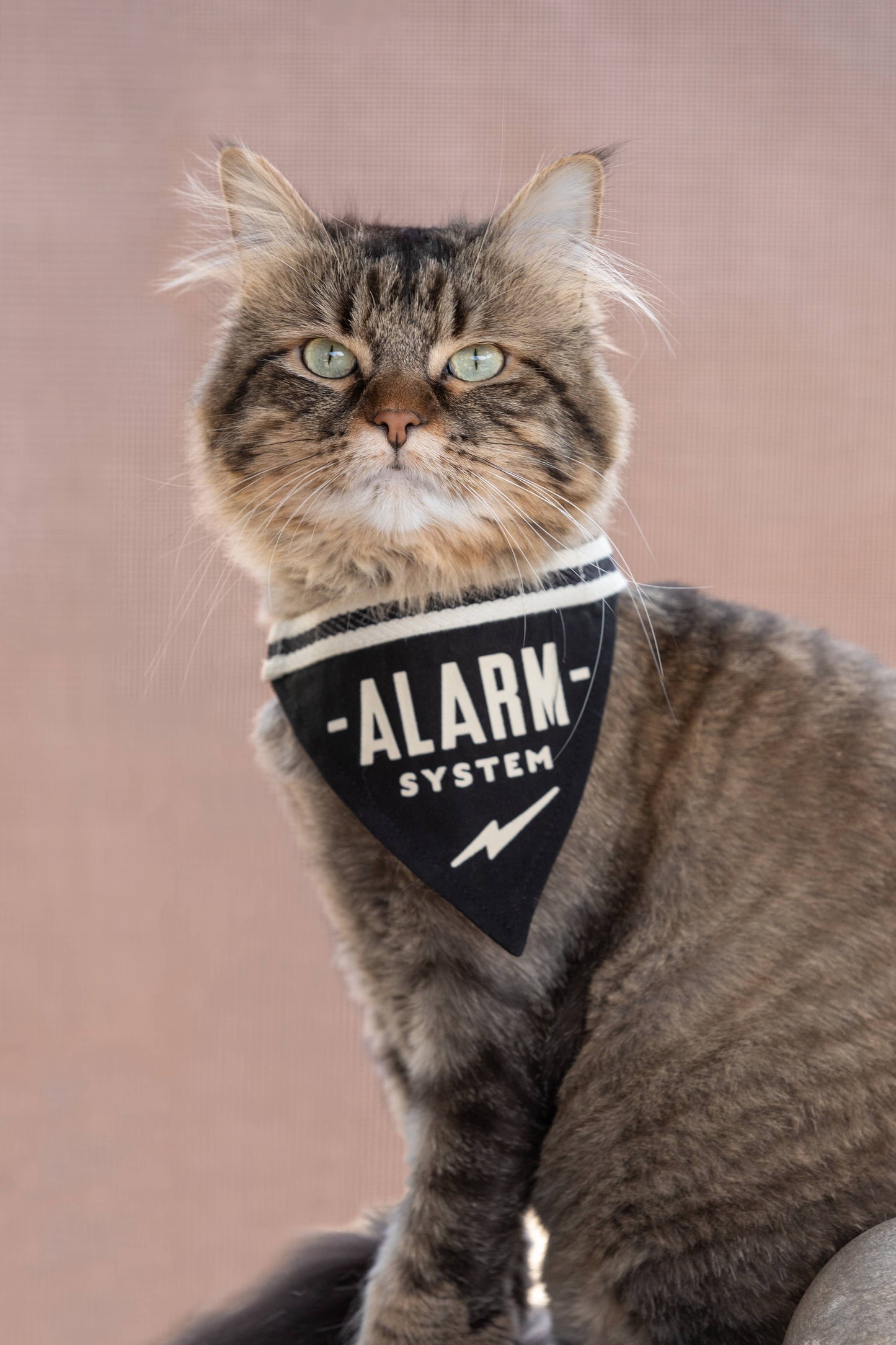 Alarm System Small Dog Bandana