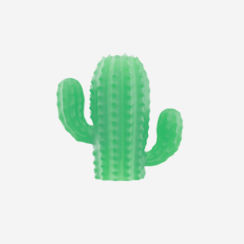 Cactus - Zee.Pinz