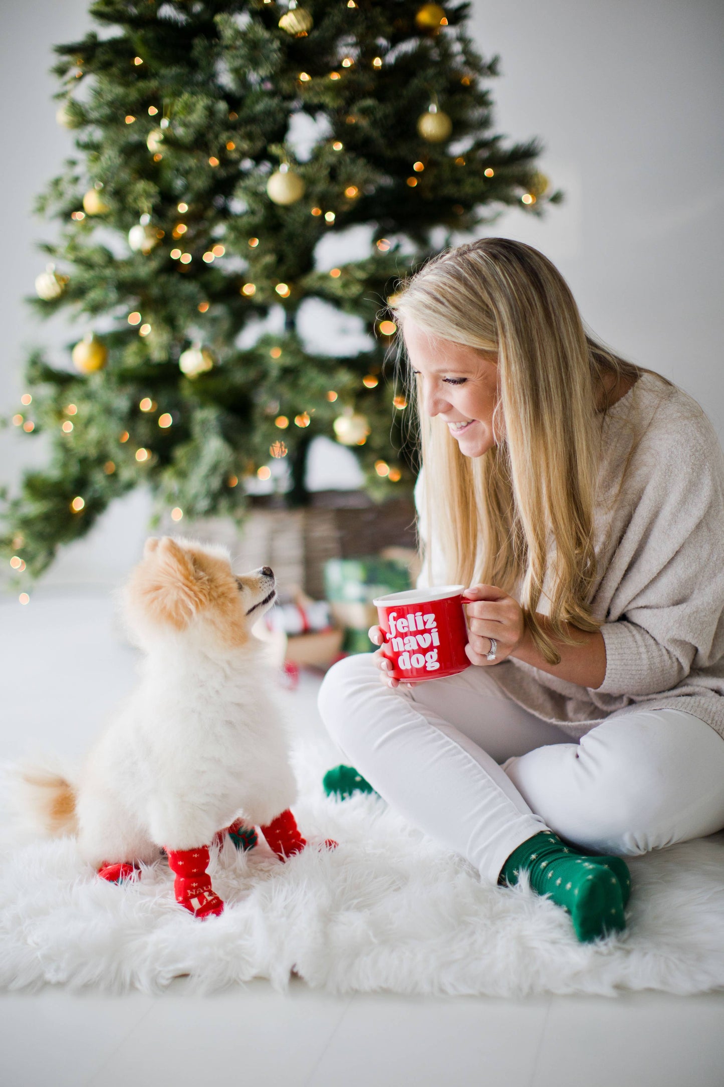 Nice & Naughty List Human & Dog Christmas Sock Set