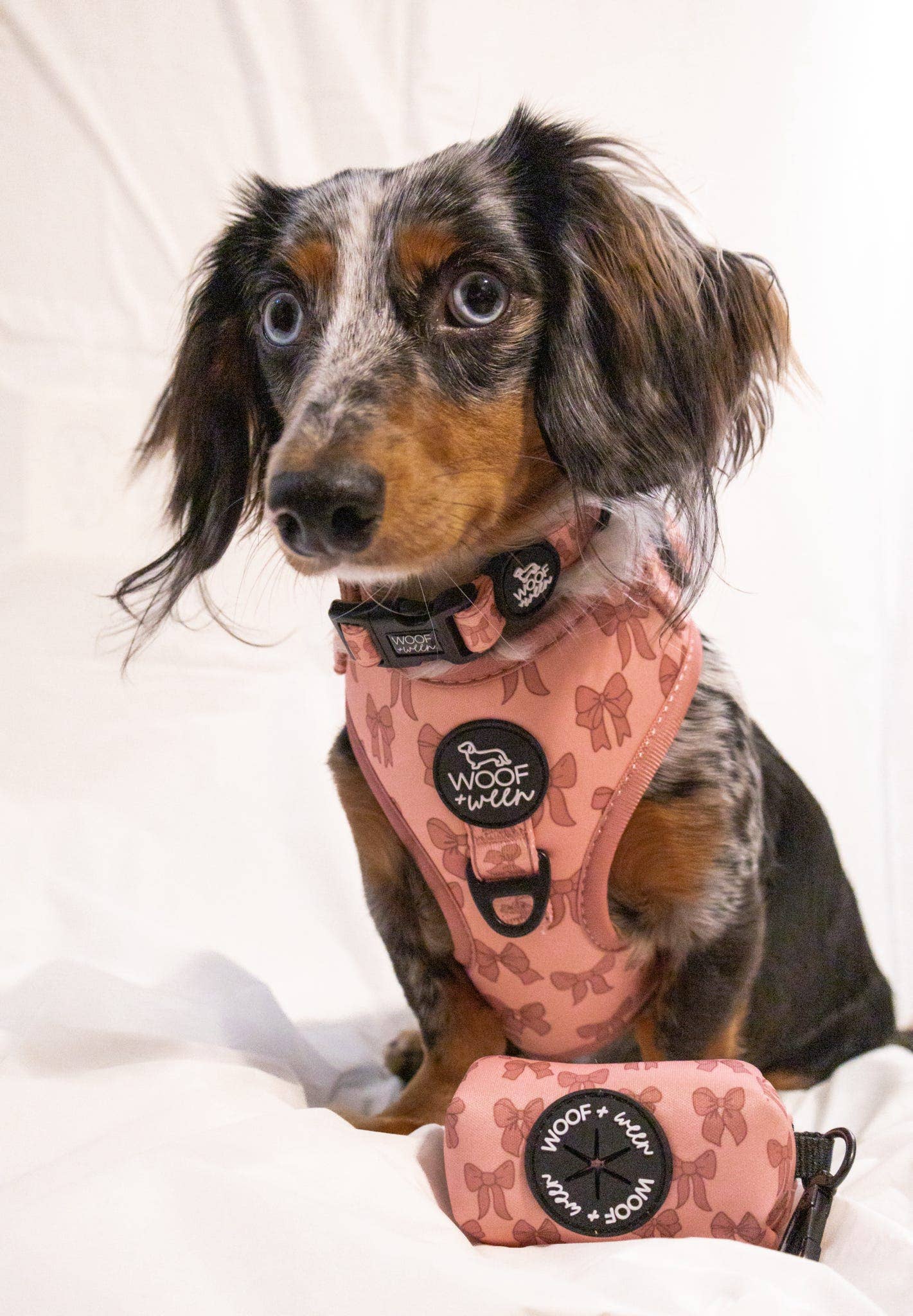 Adjustable Dog Harness - Pink Coquette