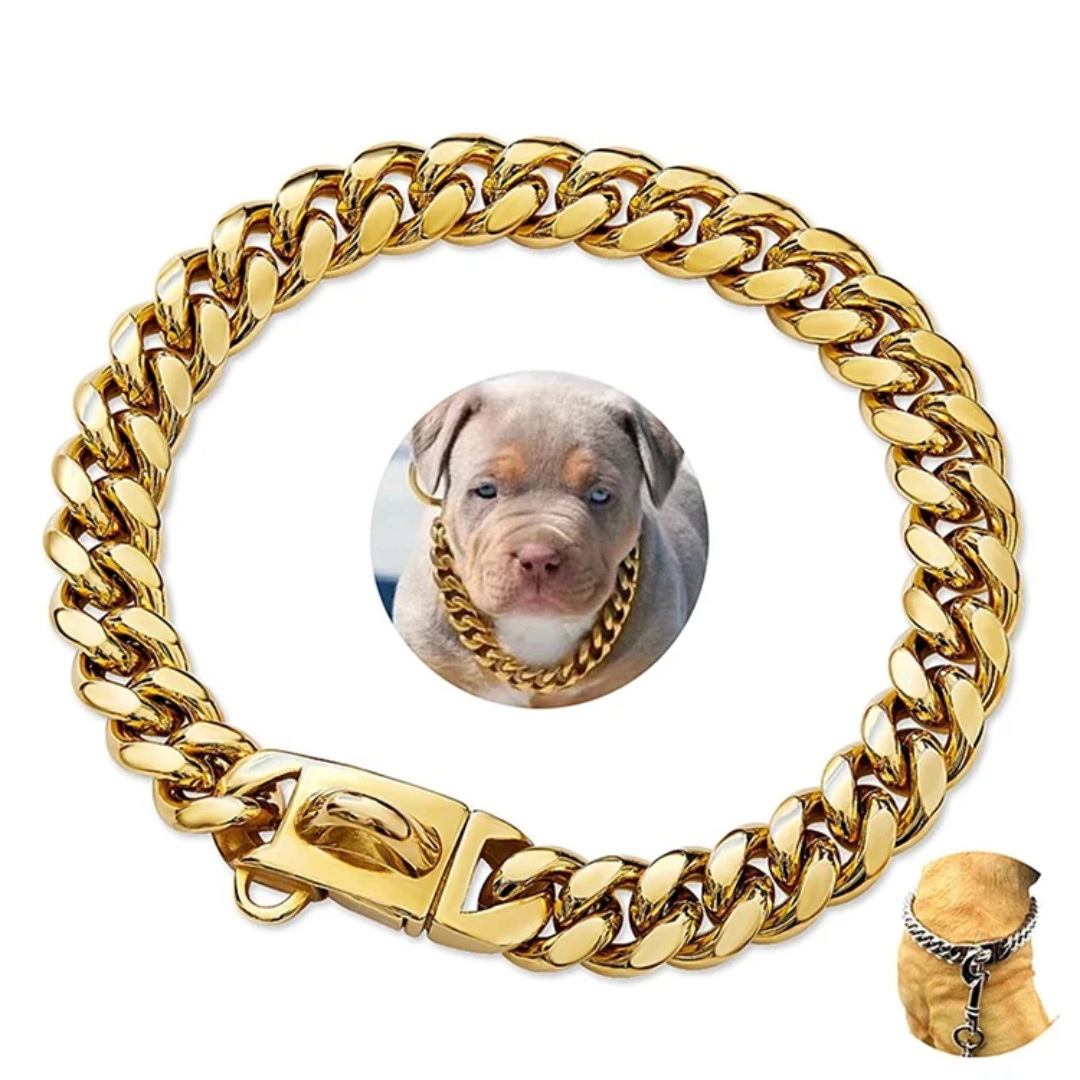 Gold Link Chain Dog Collar