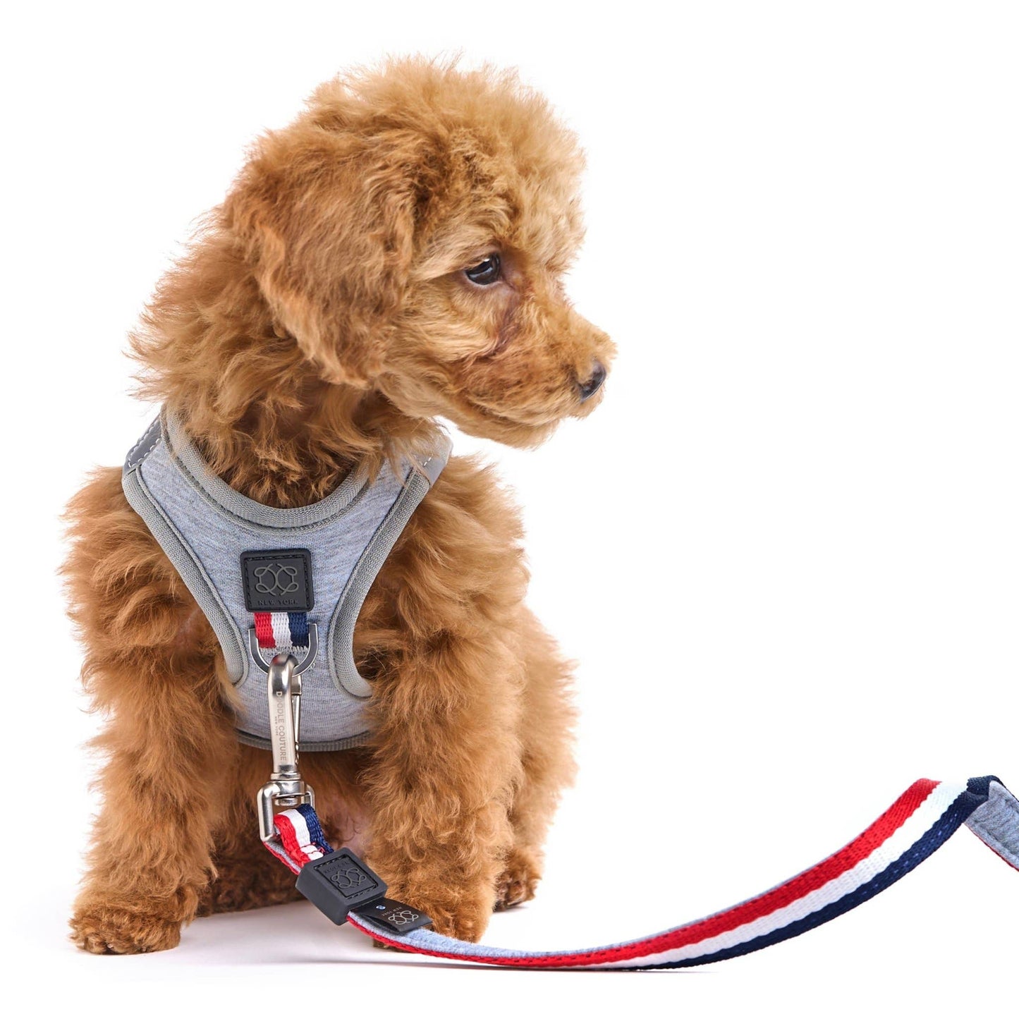 Luxe No-Pull Step-In Dog Harness - Champion Gray