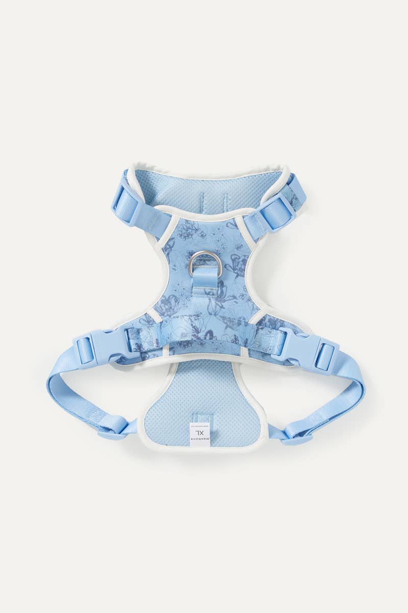 Bridgerton x maxbone Walk Set for Dogs
