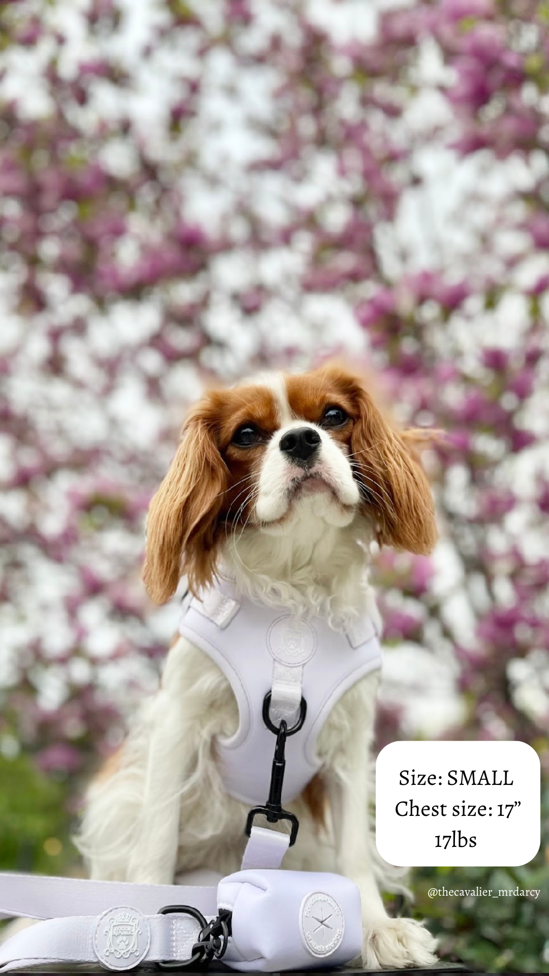 Doggie Sport Harness - I Lilac You A Lot