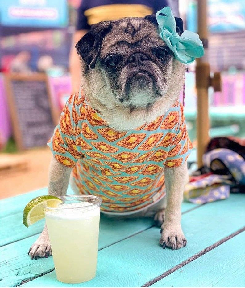 Waffles Dog Shirt