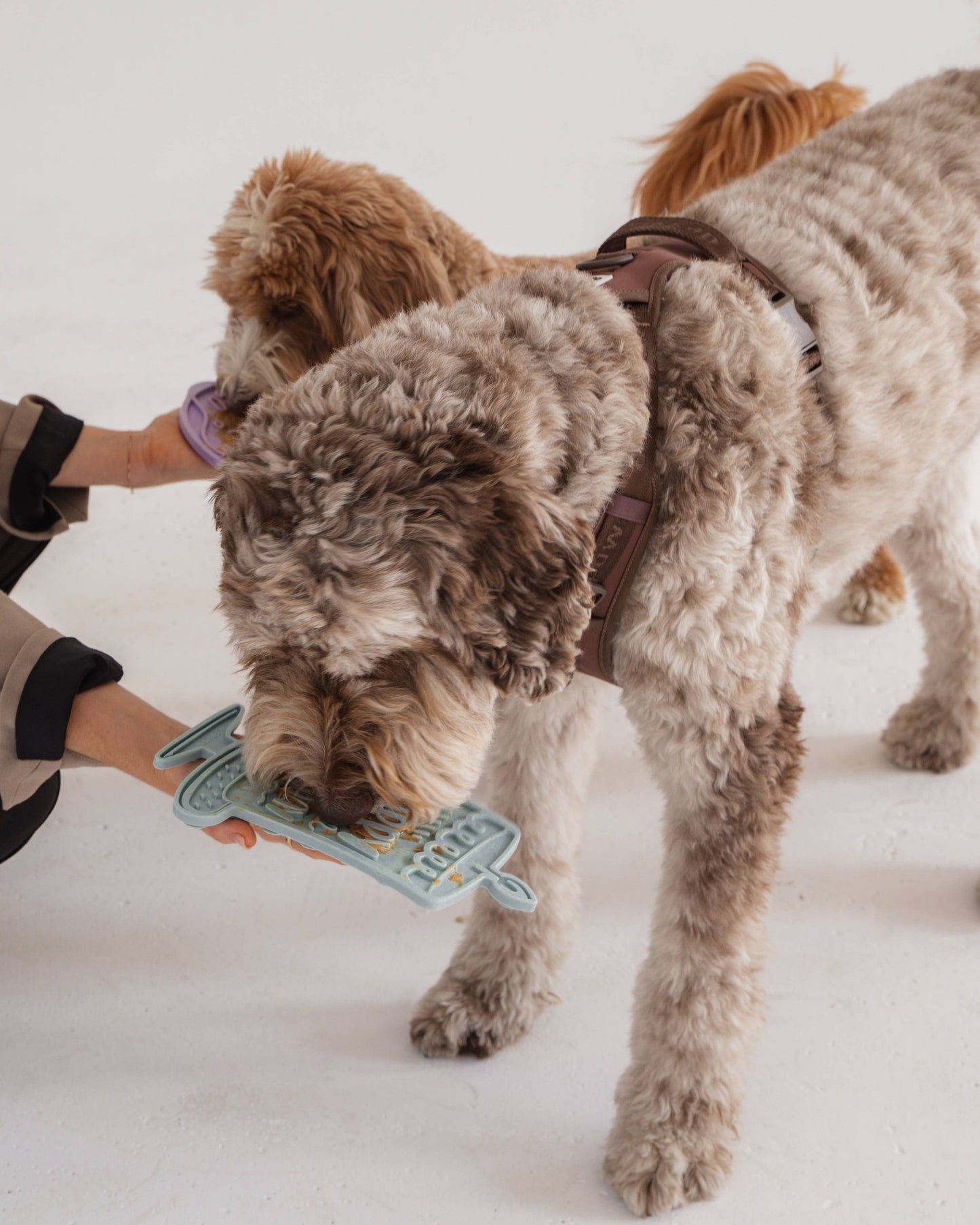 Barkday Bash Lick Mat