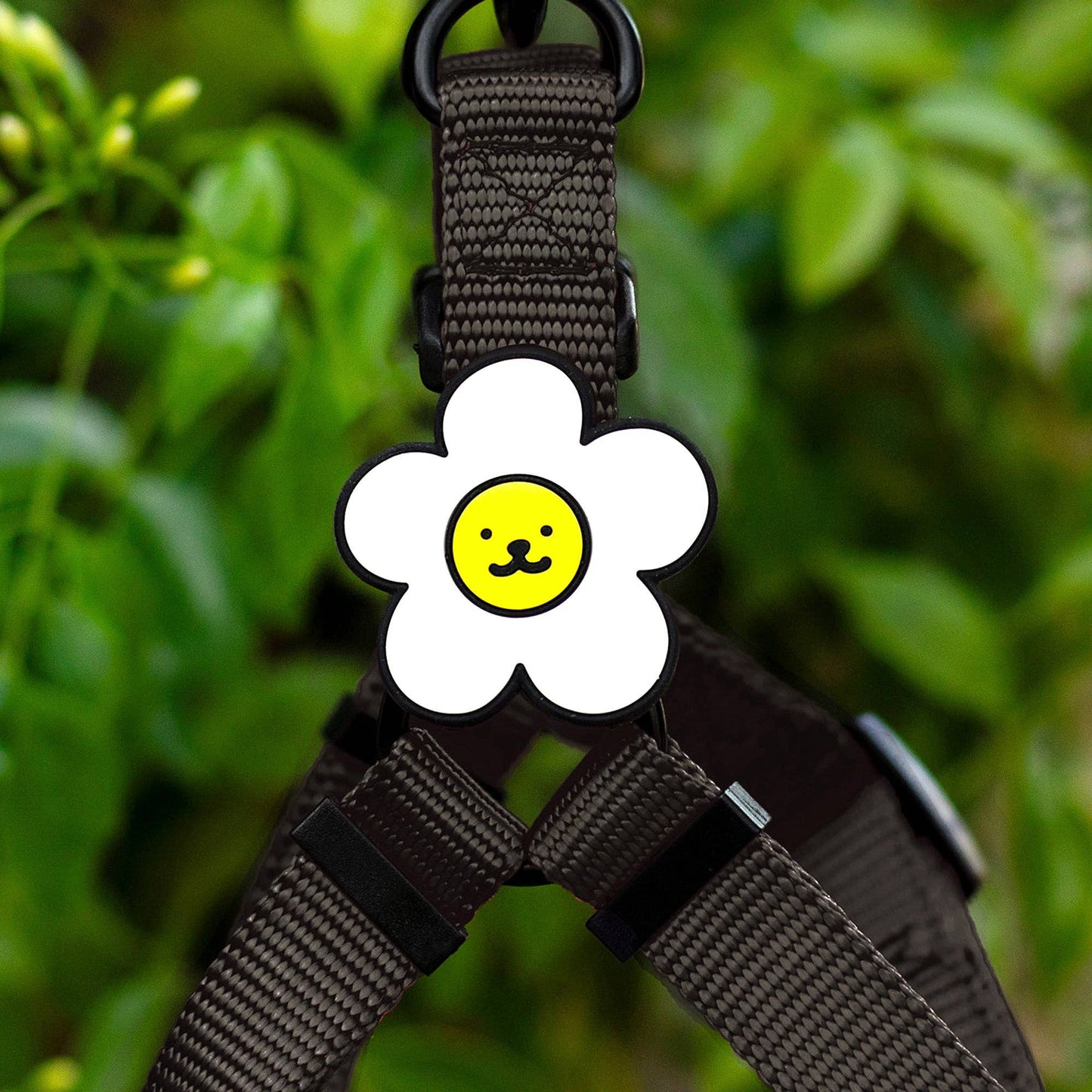 Daisy Dog Jiby - Pink