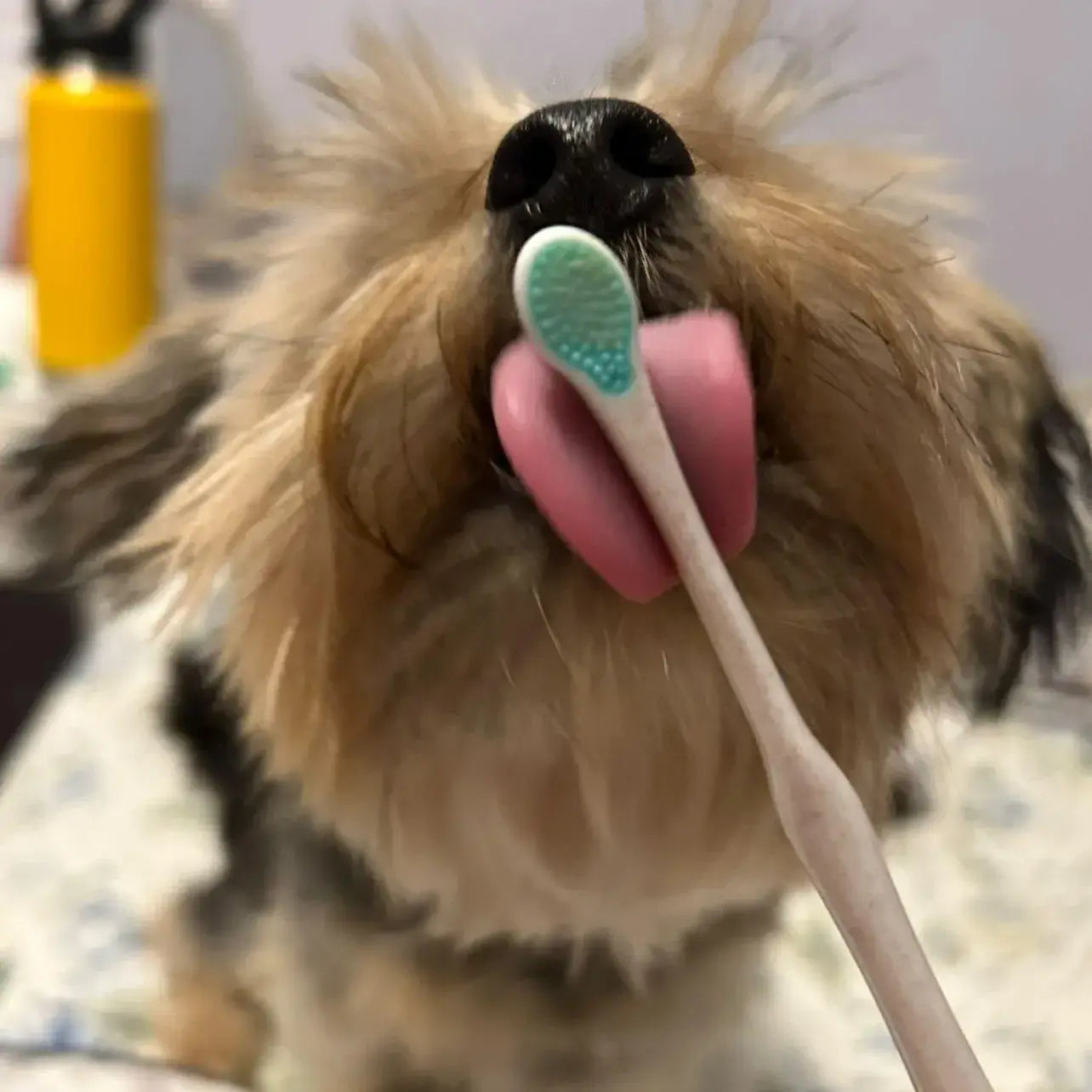 Puppy Polisher Toothbrush - Extra Small