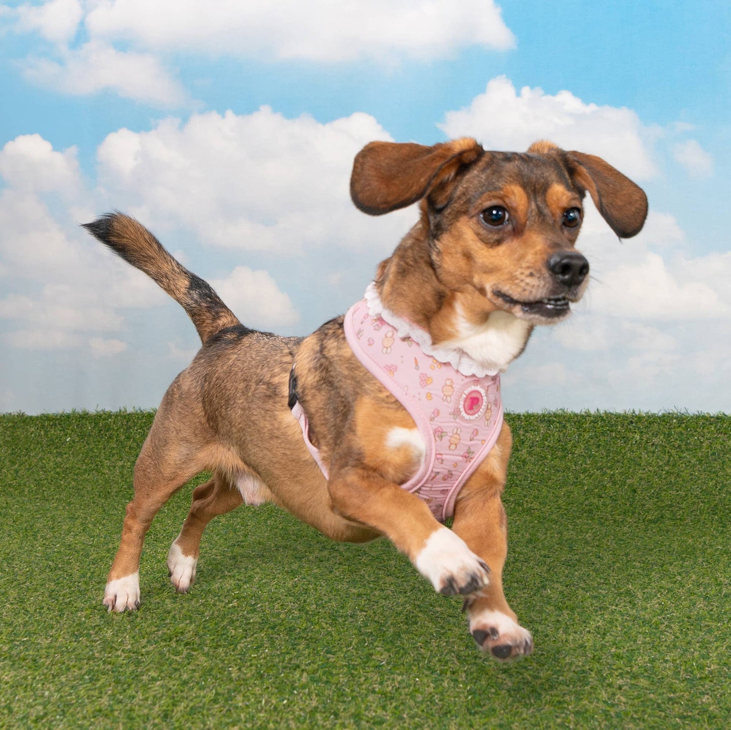 Pinkaholic Amara Over-the-Head Dog Harness Floral Ruffle: