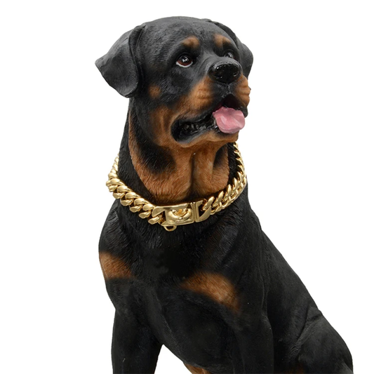 Gold Link Chain Dog Collar