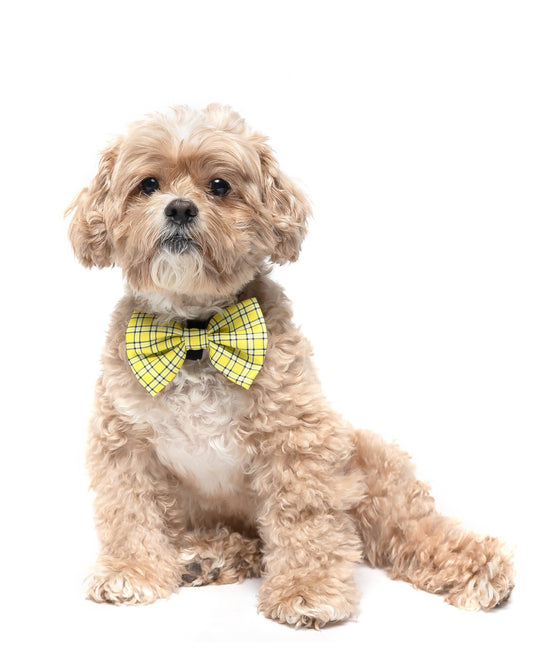 Yellow Plaid - Dog Collar Bow Tie