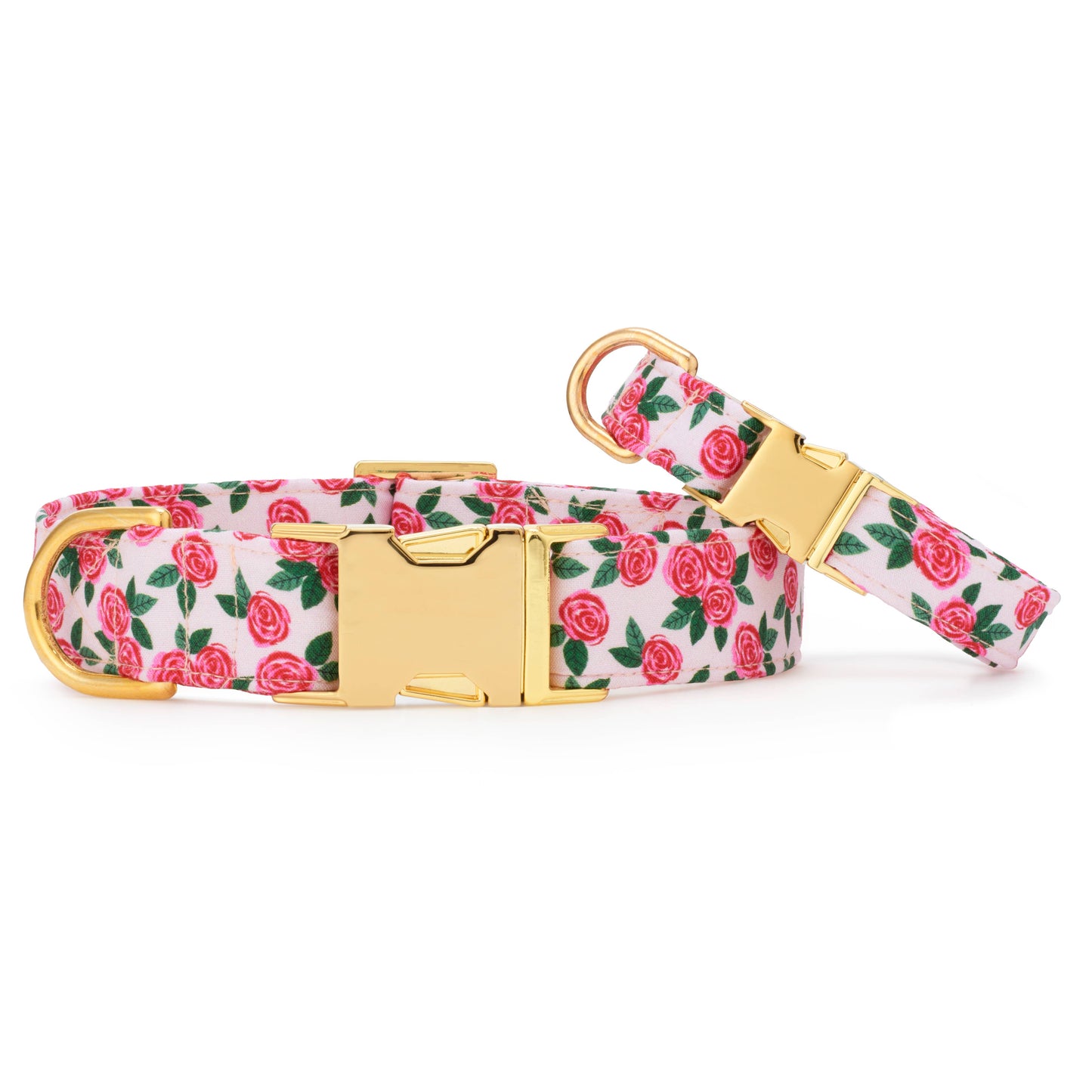 Rosette Dog Collar