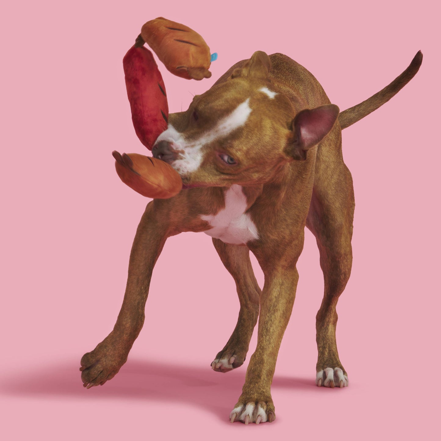 Lickin' Links Plush Dog Toy
