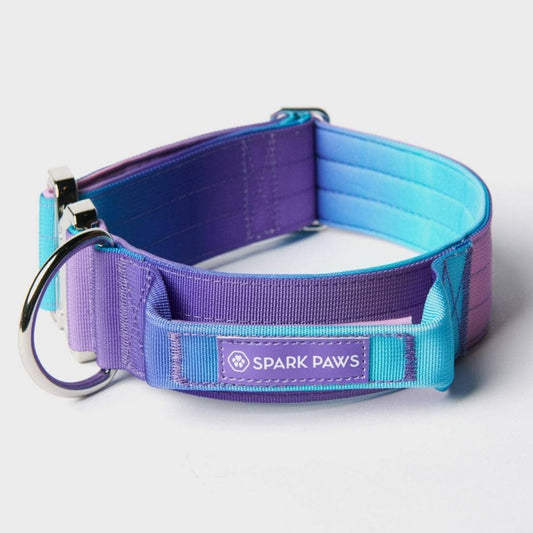 Tactical Dog Collar - 90s Retro