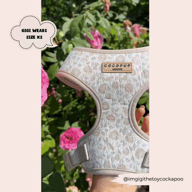 Luxe Adjustable Neck Harness - Garden Meadow