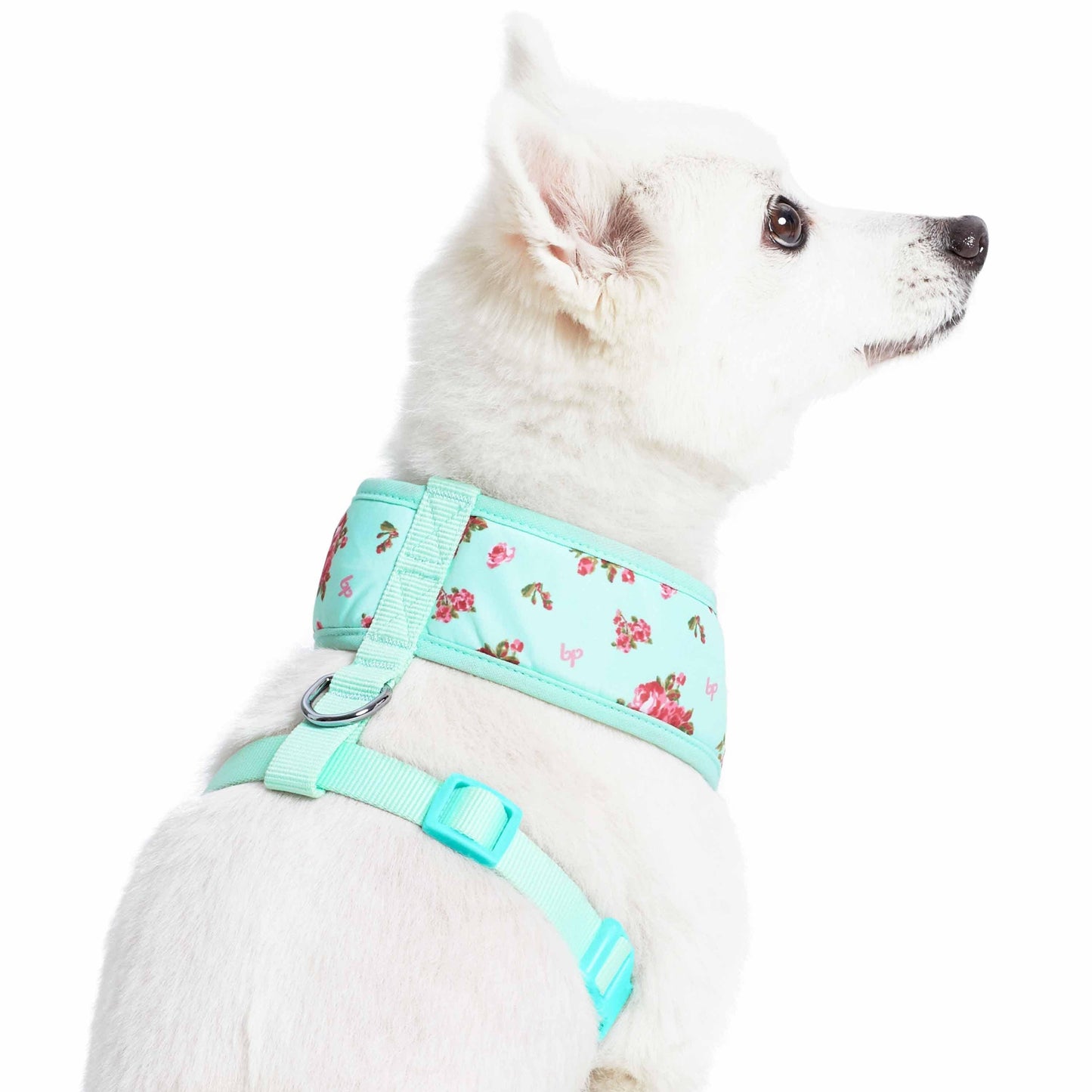 Chaleco arnés para perros con diseño floral de Petal Paws