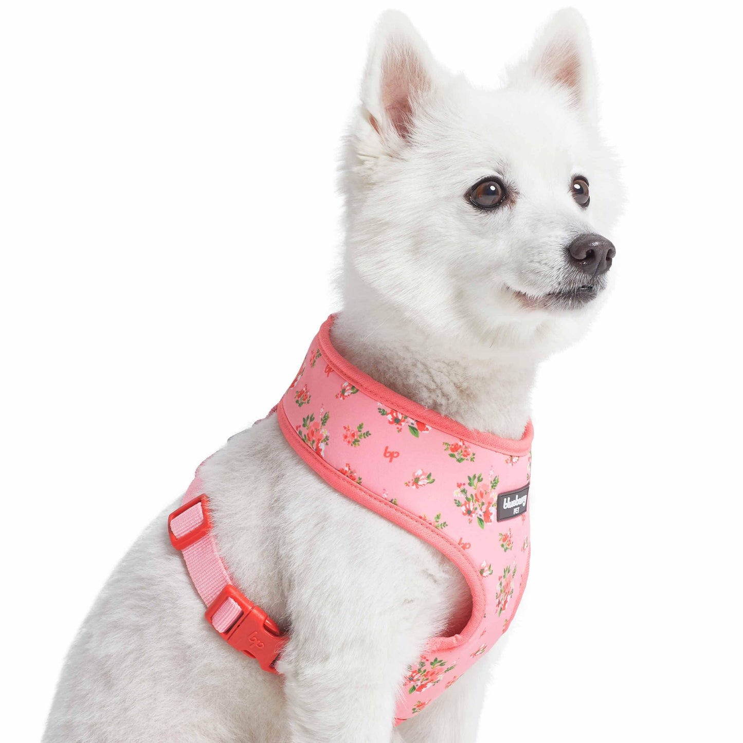 Chaleco arnés para perros con diseño floral de Petal Paws