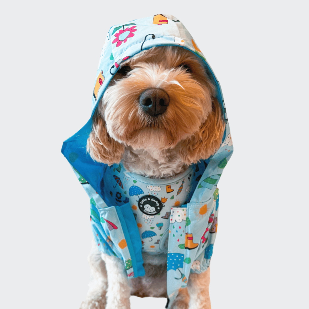 Chubasquero reversible para perros Showers