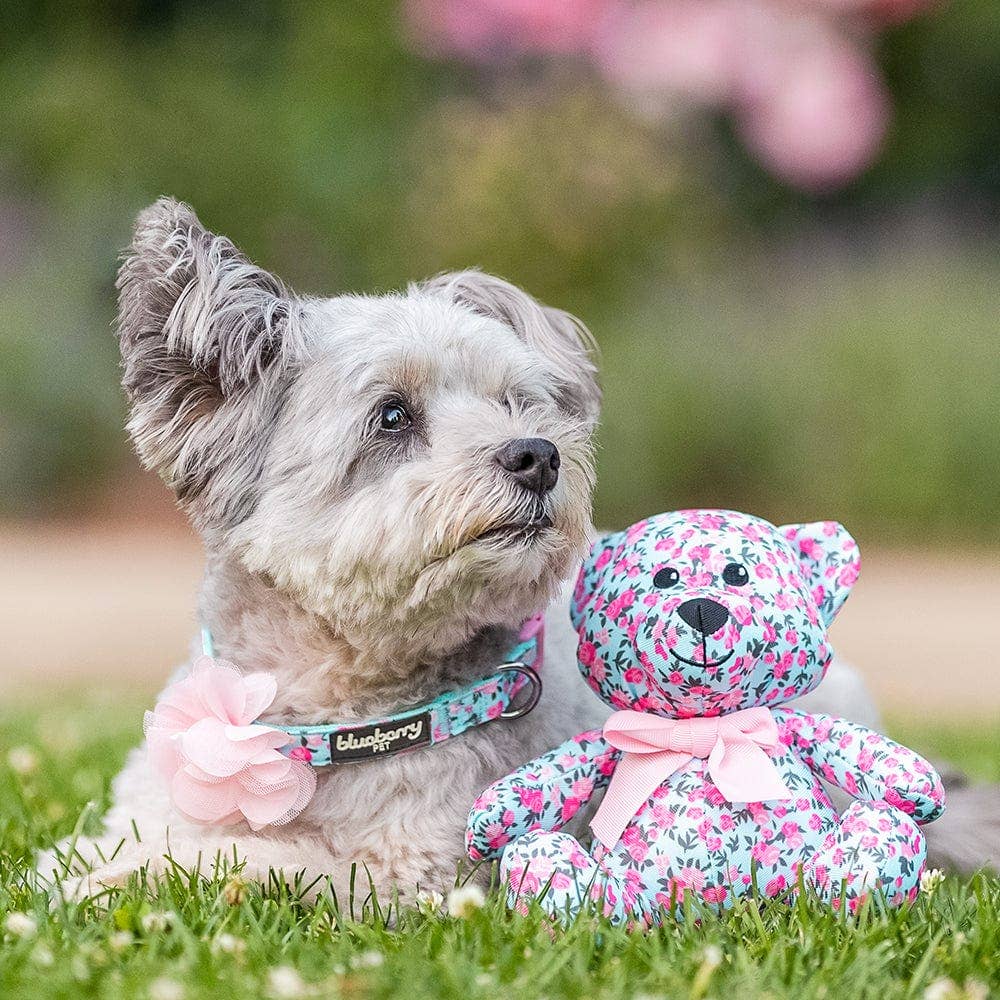 Floral Dog Collar with Flower - Assorted Colors