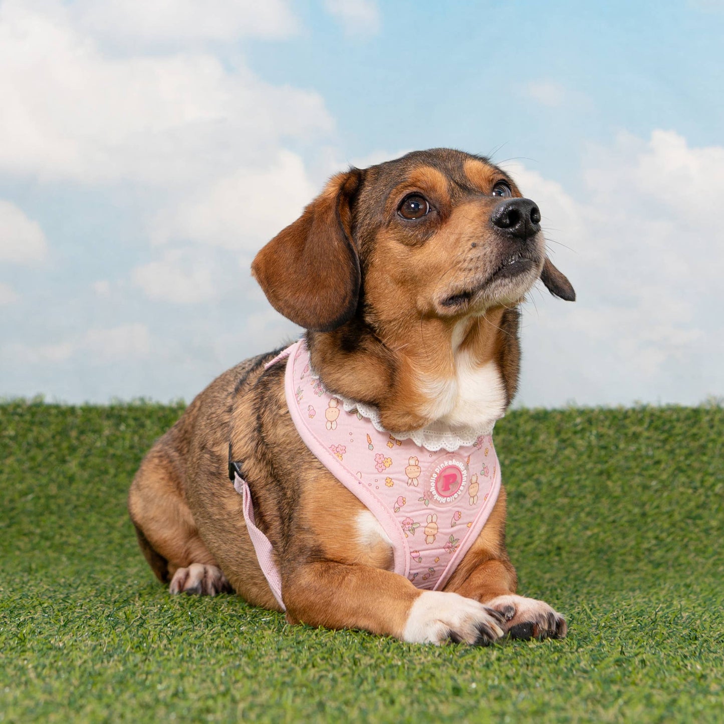 Pinkaholic Amara Over-the-Head Dog Harness Floral Ruffle: