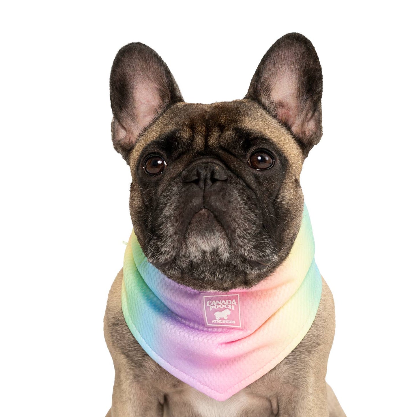 Chill Seeker Cooling Bandana - Rainbow