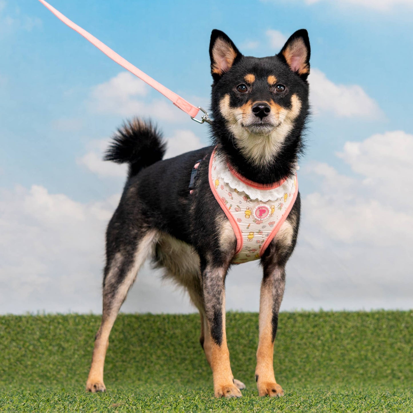 Pinkaholic Amara Over-the-Head Dog Harness Floral Ruffle: