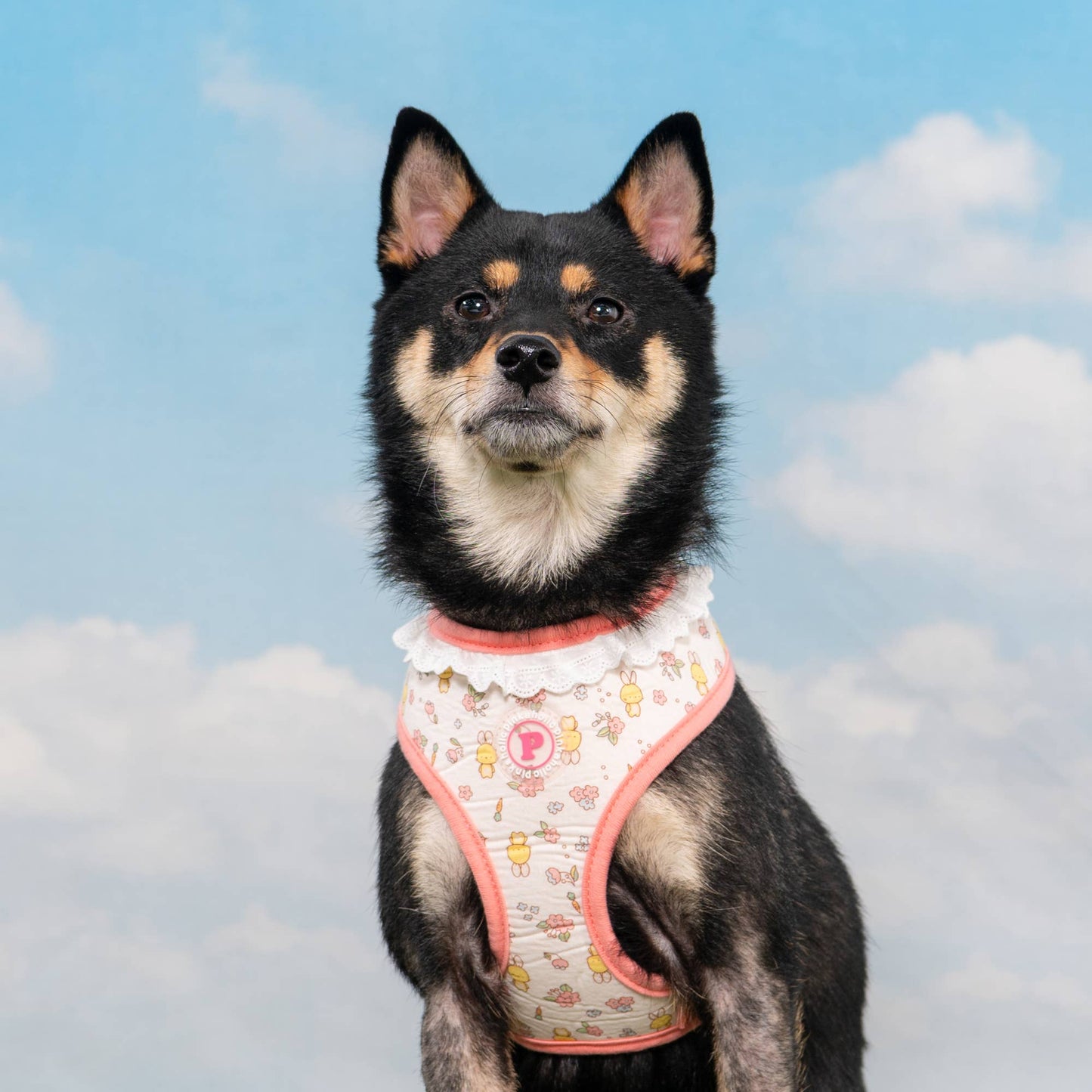 Pinkaholic Amara Over-the-Head Dog Harness Floral Ruffle: