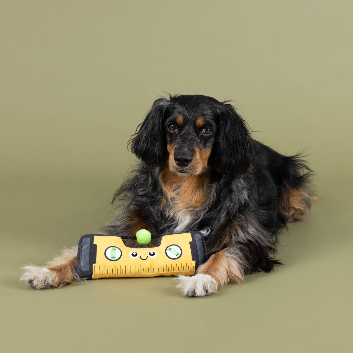 Let Me Level with You Plush Dog Toy