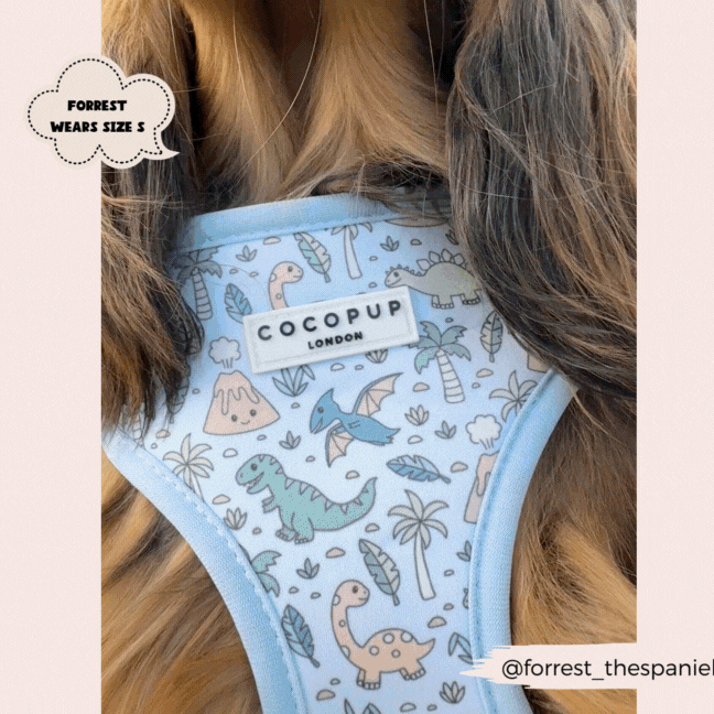 Dinopaws Adjustable Neck Dog Harness