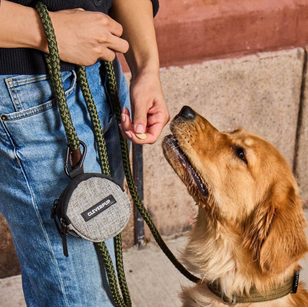Snackpack Double Insulated Dog Treat Pouch - Assorted Colors
