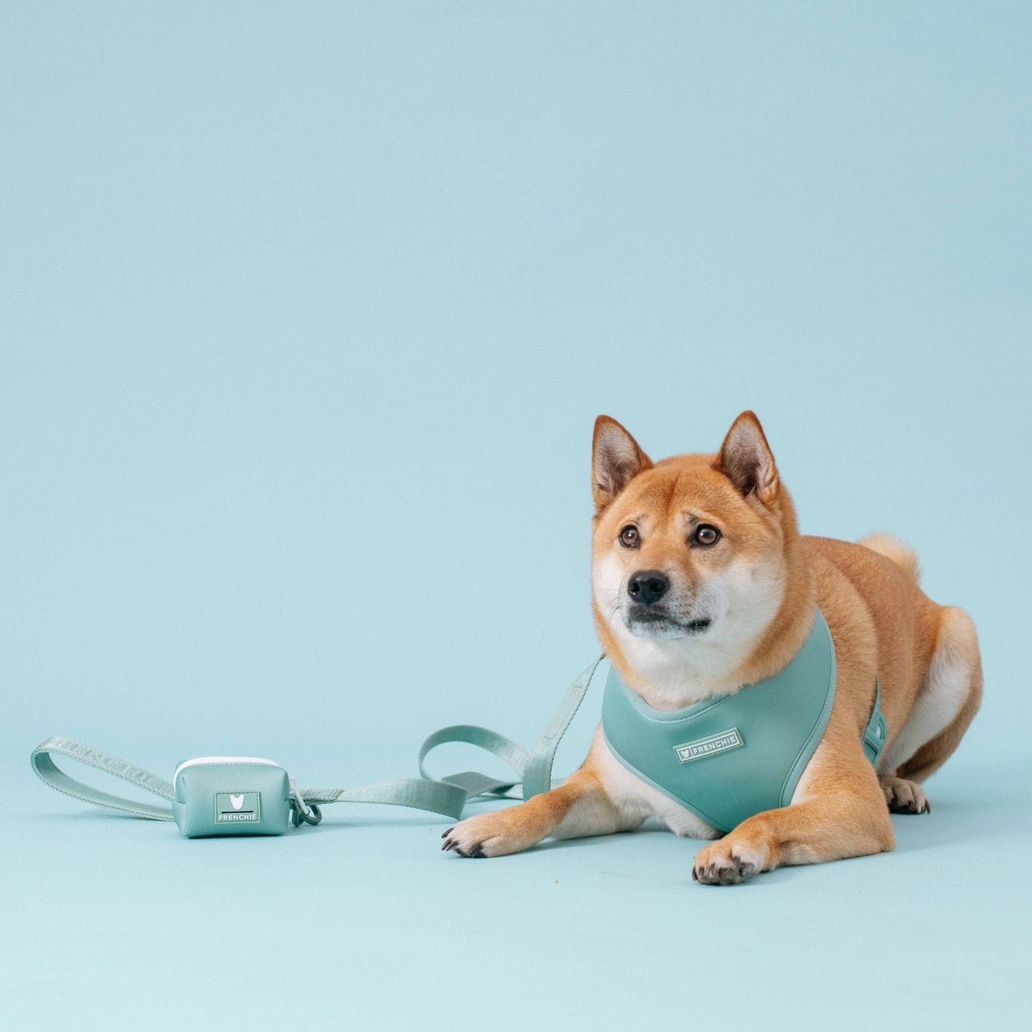 Frenchie Duo Reversible Harness - Sage
