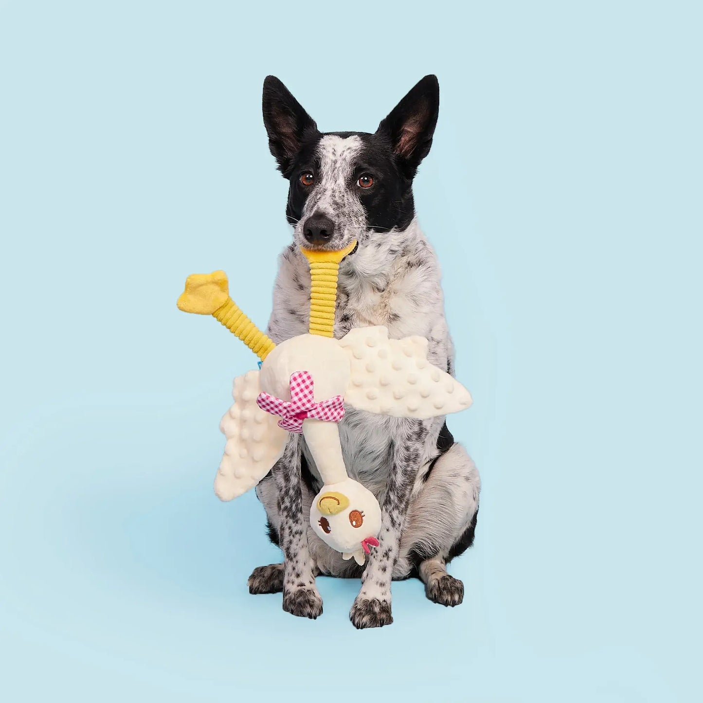 Farmer's Barket Gingham Goose Plush Dog Toy XL