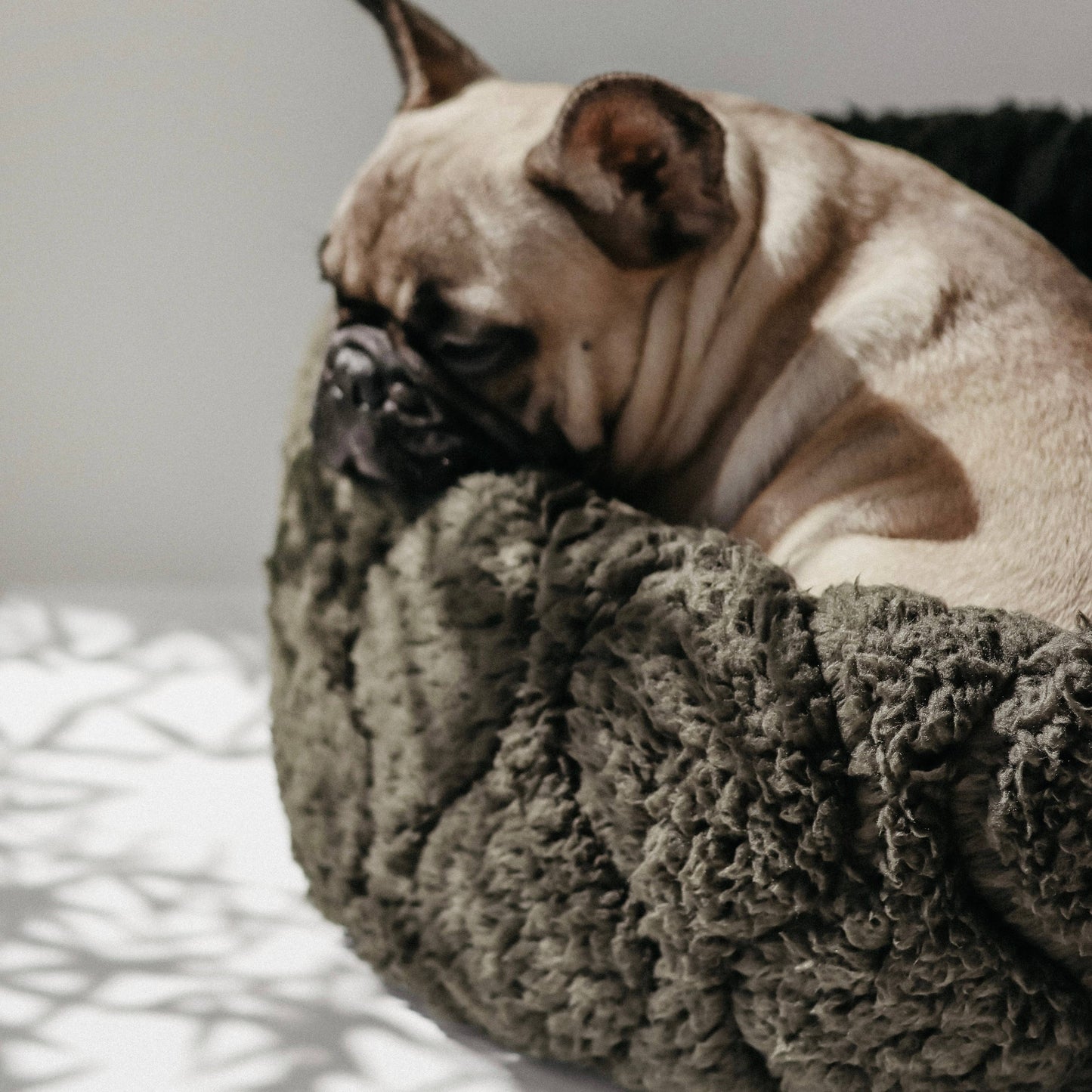 Taart Dog Bed - Assorted Colors