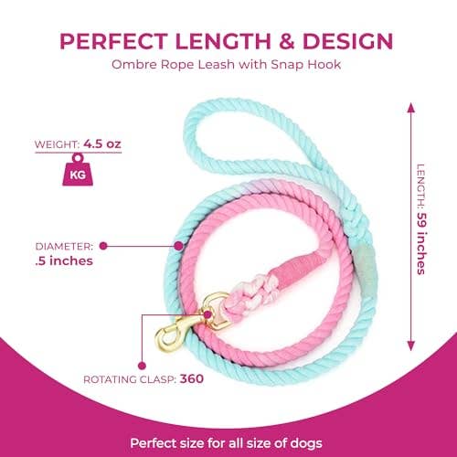 Pink and Blue Pastel Swirl Leash