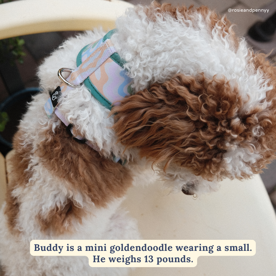Just Chill Reversible Dog Harness