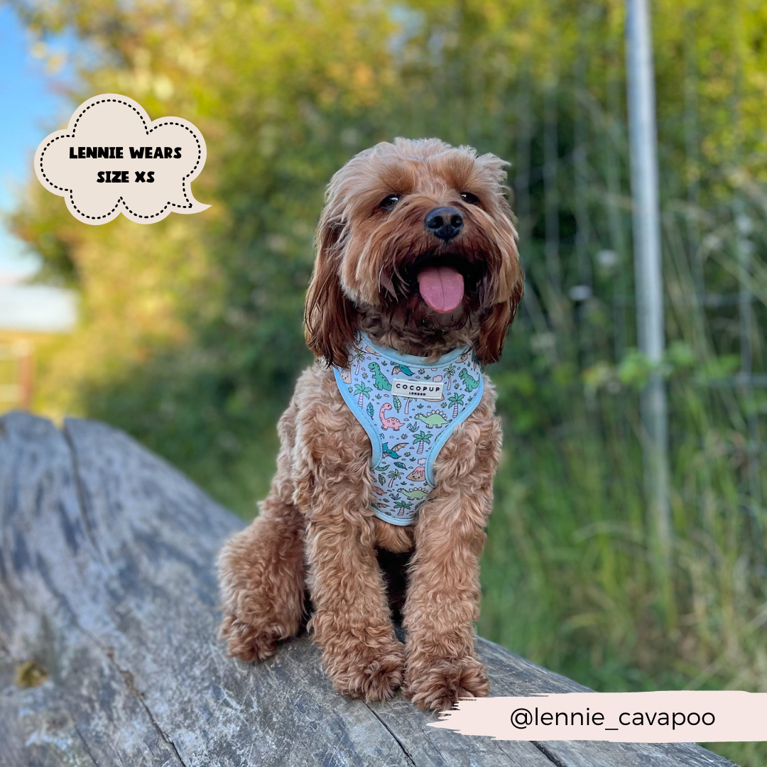 Dinopaws Adjustable Neck Dog Harness