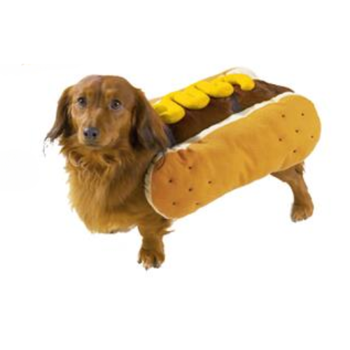 Casual Canine Hot Diggity Dog Costume