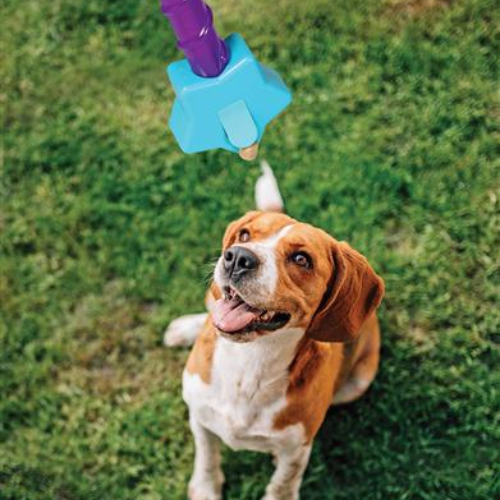 Brightkins™ Magic Wand! Treat Dispenser - STAR