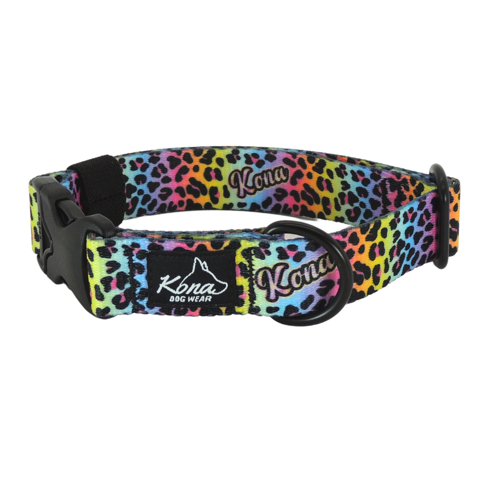Frankalicious Buckle Dog Collar