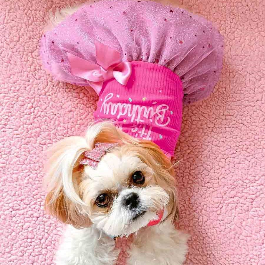 It's My Birthday Dog Dress