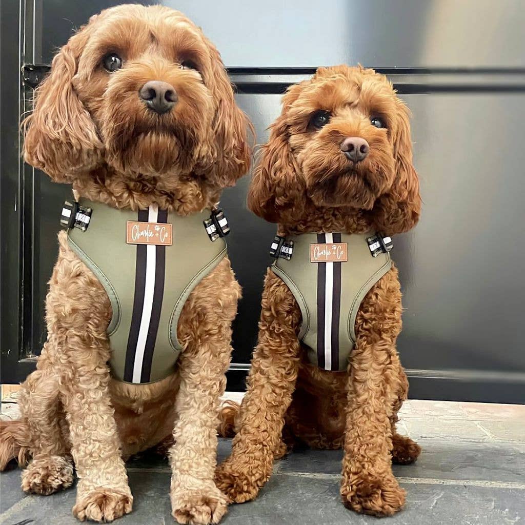 Barky Khaki Adjustable Step-in Dog Harness
