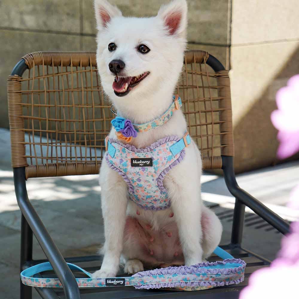 Floral Dog Collar with Flower - Assorted Colors