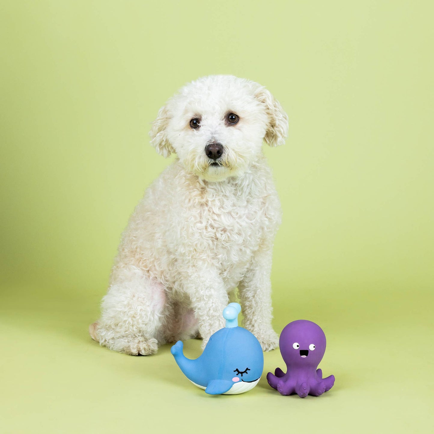 Happy to Sea You 2pc Latex Dog Toys