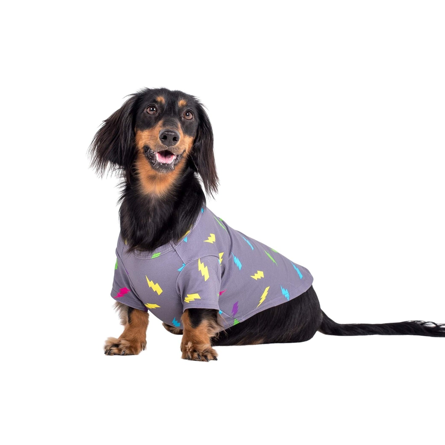 Electric Energy Dog Shirt