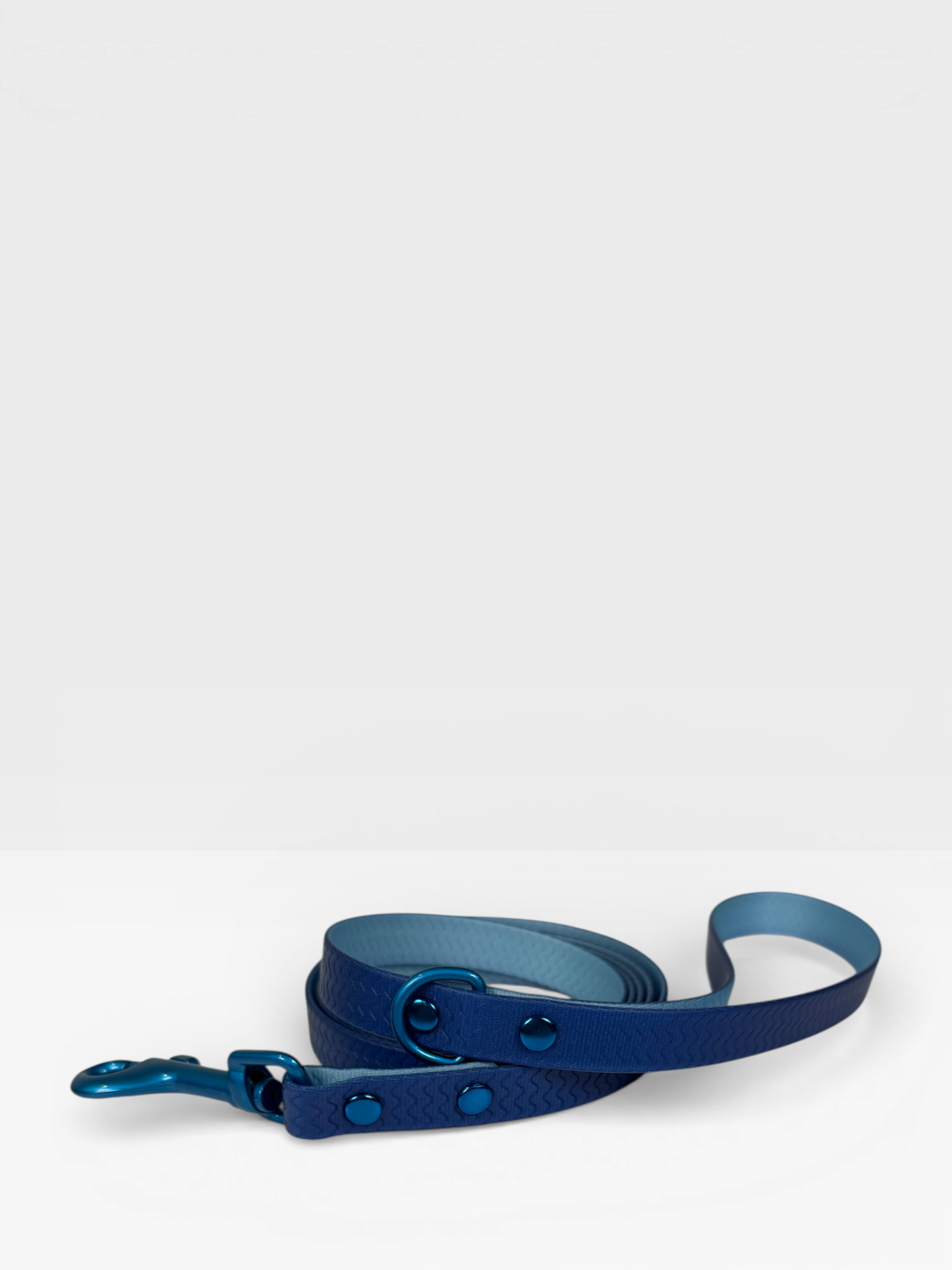 Blue Jelly Waterproof Leash for Small Dogs