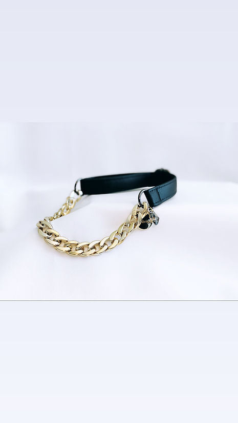 Chain Dog Collar