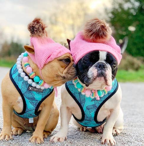Matching Pink Beanie Hat - Adult/Dog Sizes